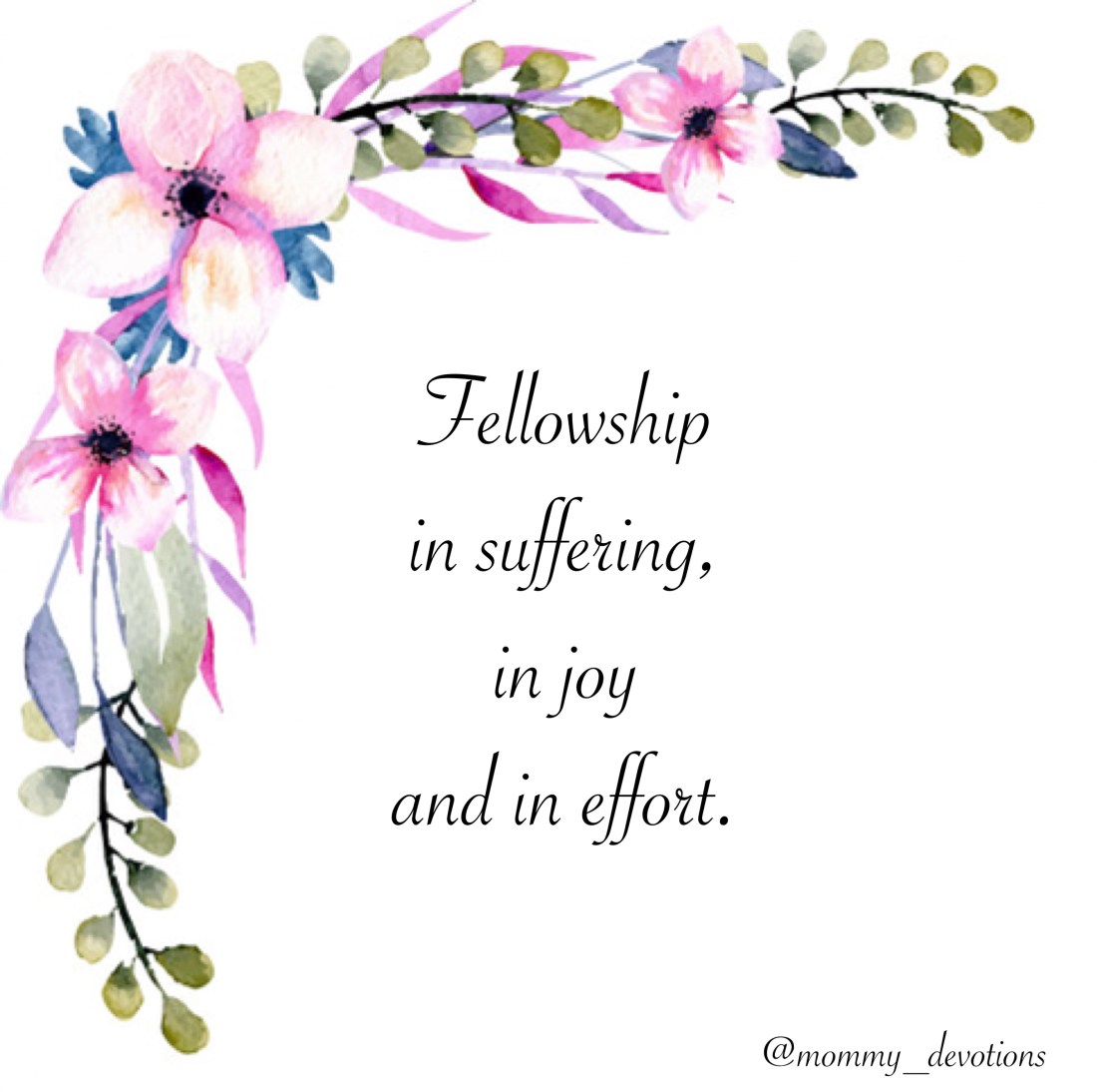 8CE2EAE5-6BED-48F8-B403-47495414D9C5